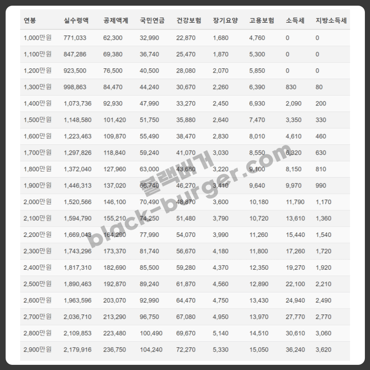 2024 연봉 실수령액 표
1000~2900만원 구간