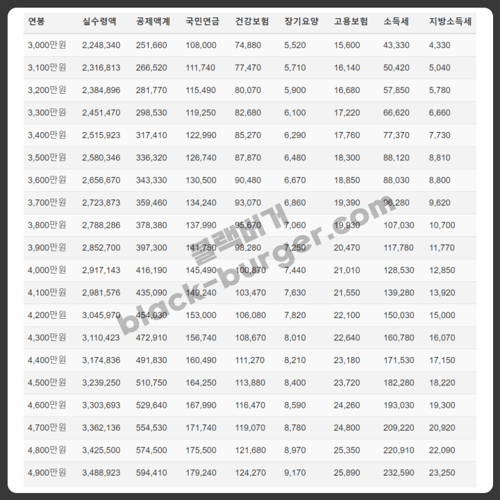 2024 연봉 실수령액 표
3000~4900만원 구간