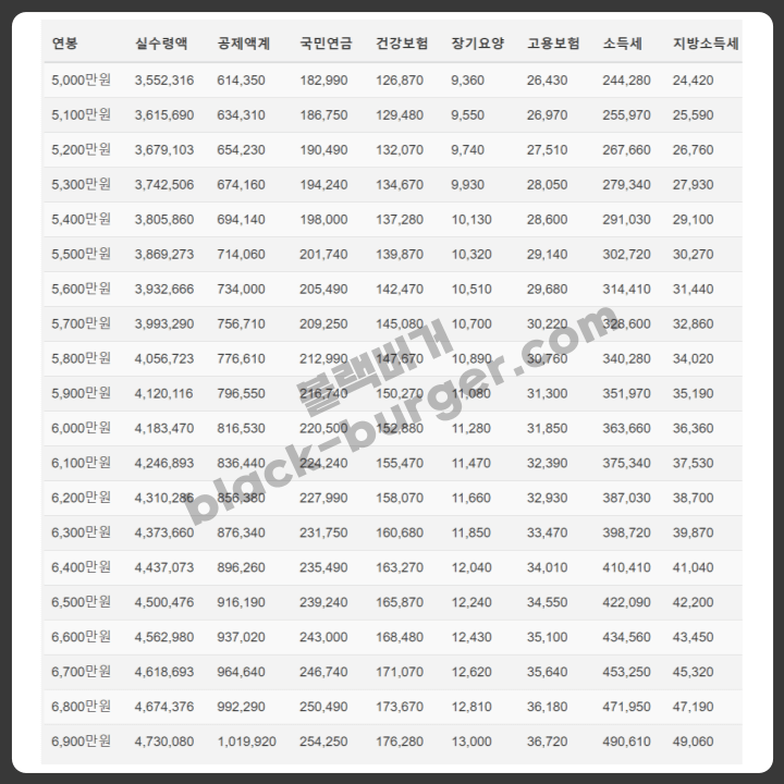 2024 연봉 실수령액 표
5000~6900만원 구간